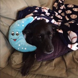 Meet your Posher, Tara